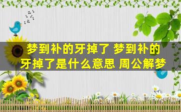 梦到补的牙掉了 梦到补的牙掉了是什么意思 周公解梦